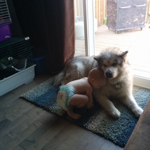 Fundraising Page: Rebecca Troan